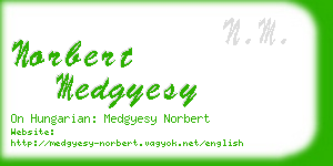norbert medgyesy business card